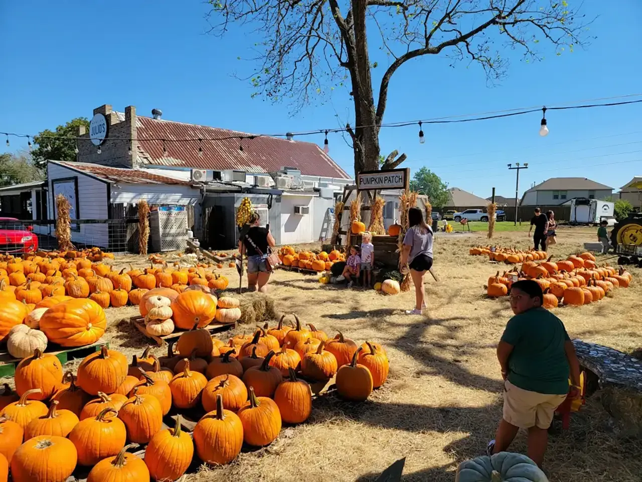 A group of people are standing in a field of pumpkins.