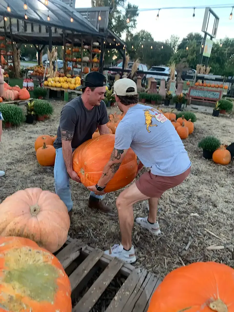 Two men are holding a large pumpkin in a field of pumpkins