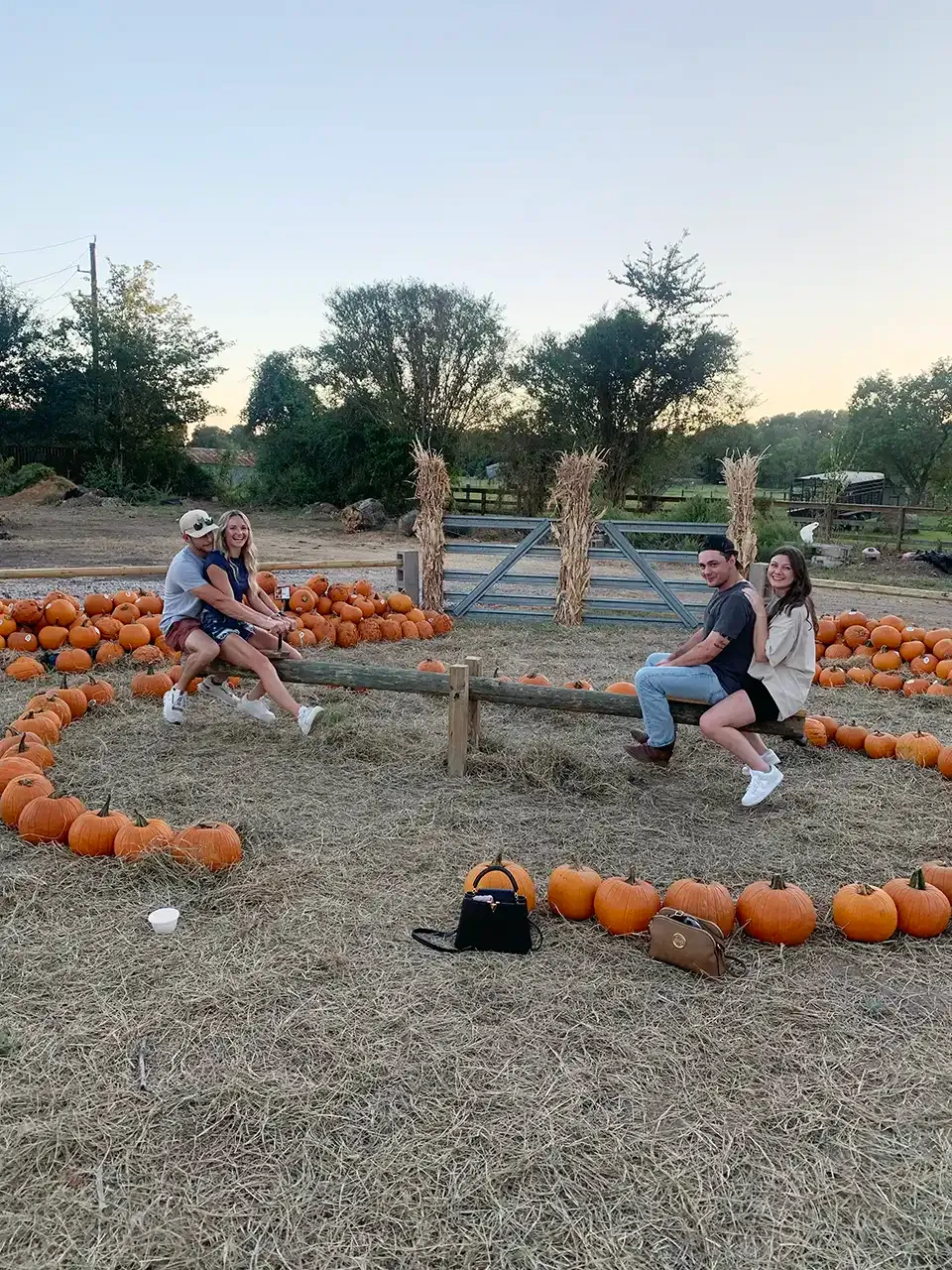 A group of people are sitting on a seesaw in a pumpkin patch.