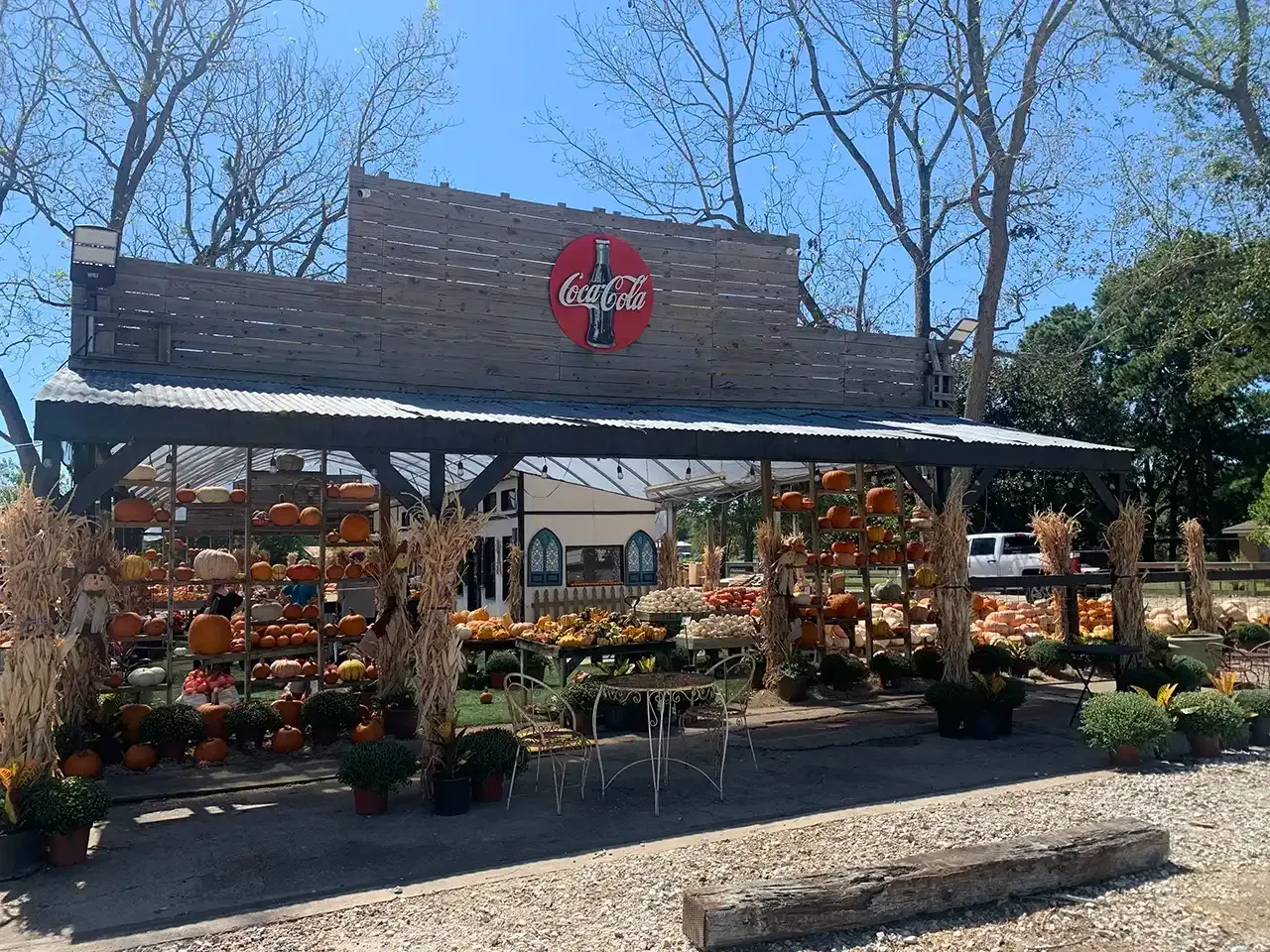 A pumpkin patch with pumpkins and flowers in front of a building.