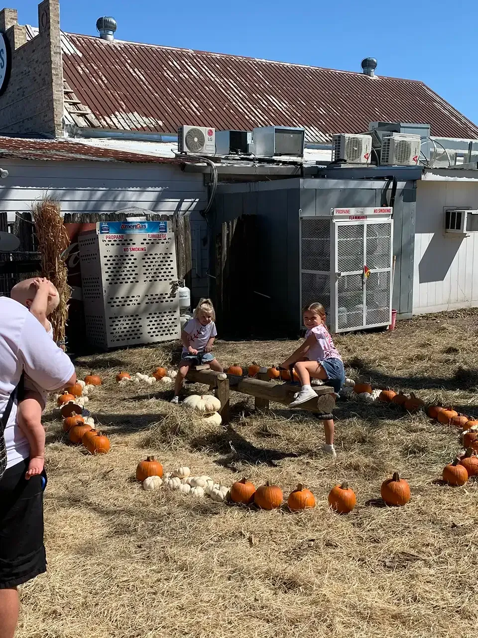 A woman is taking a picture of two children in a pumpkin patch.