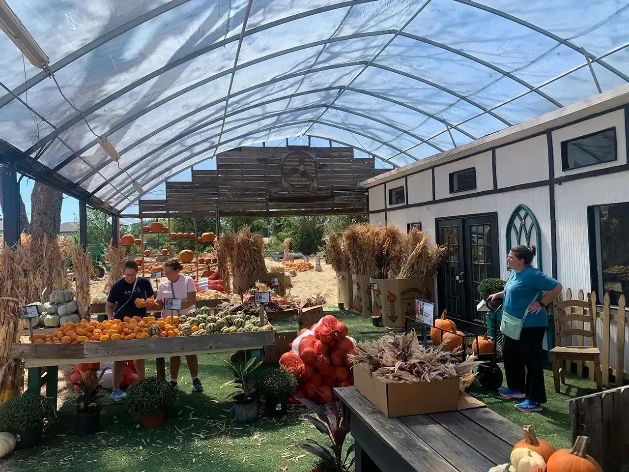 A greenhouse filled with lots of pumpkins and vegetables.