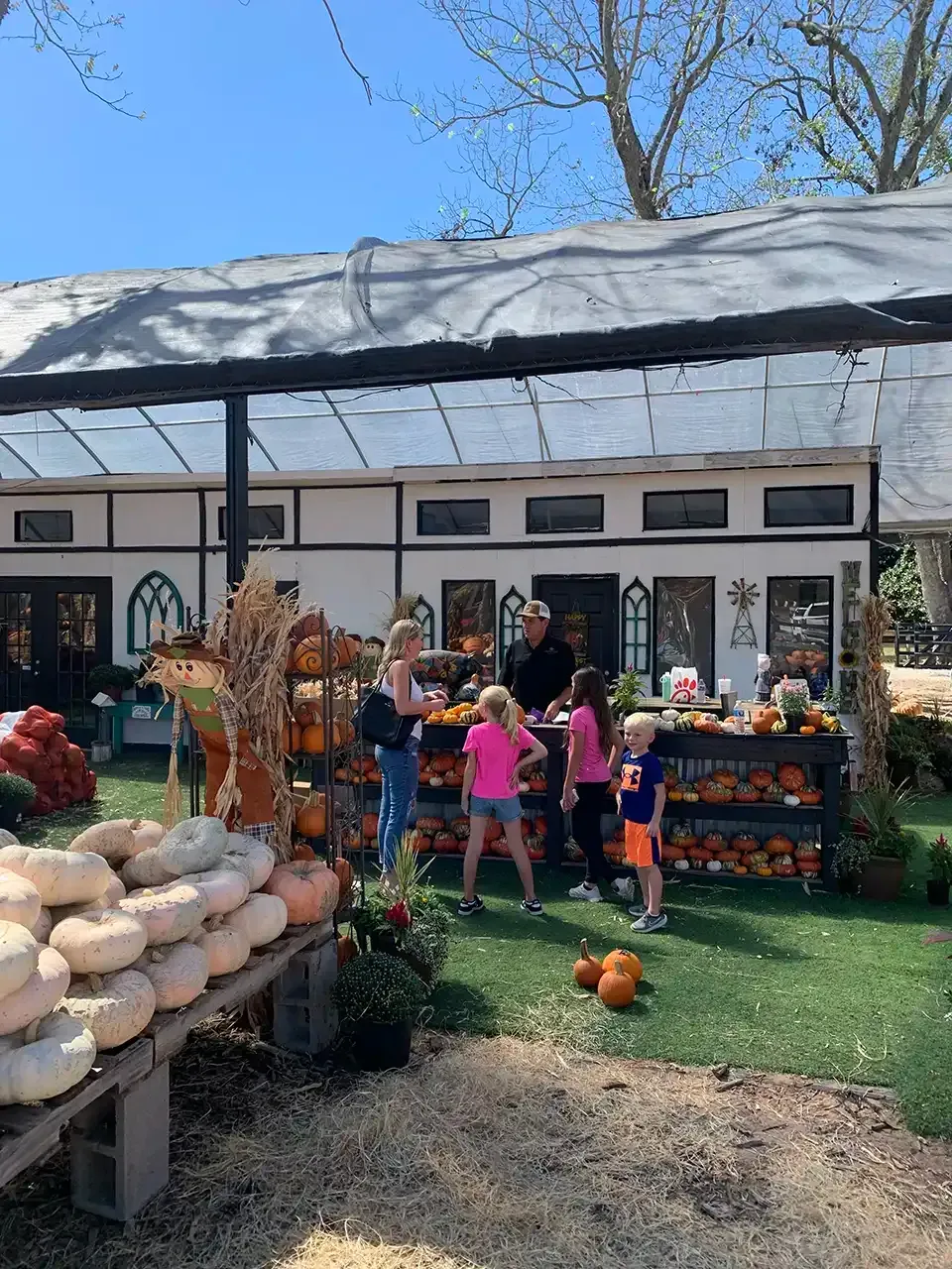 A group of people are standing in front of a pumpkin patch.