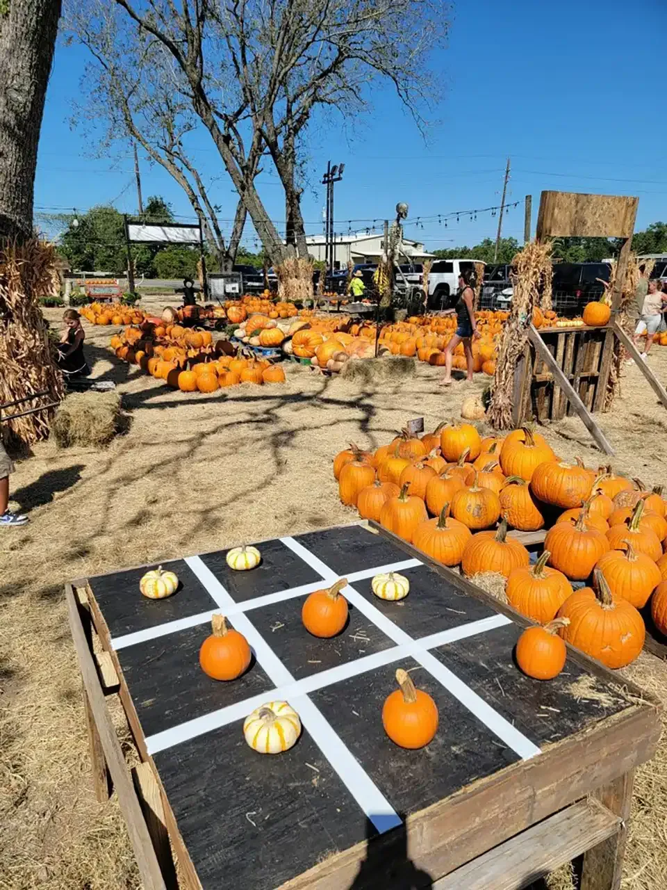 A tic tac toe game in a pumpkin patch