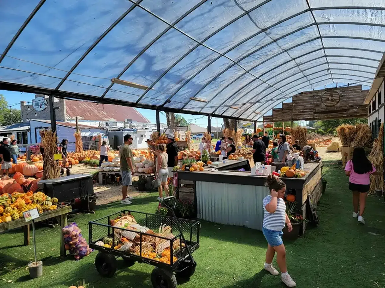 A group of people are standing inside of a greenhouse at a pumpkin patch.
