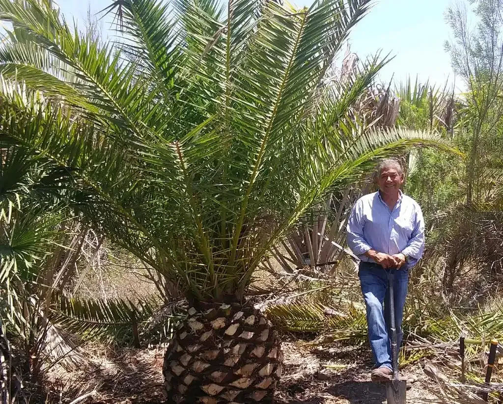 Robert Rodriguez, Rosehill Palms Founder
