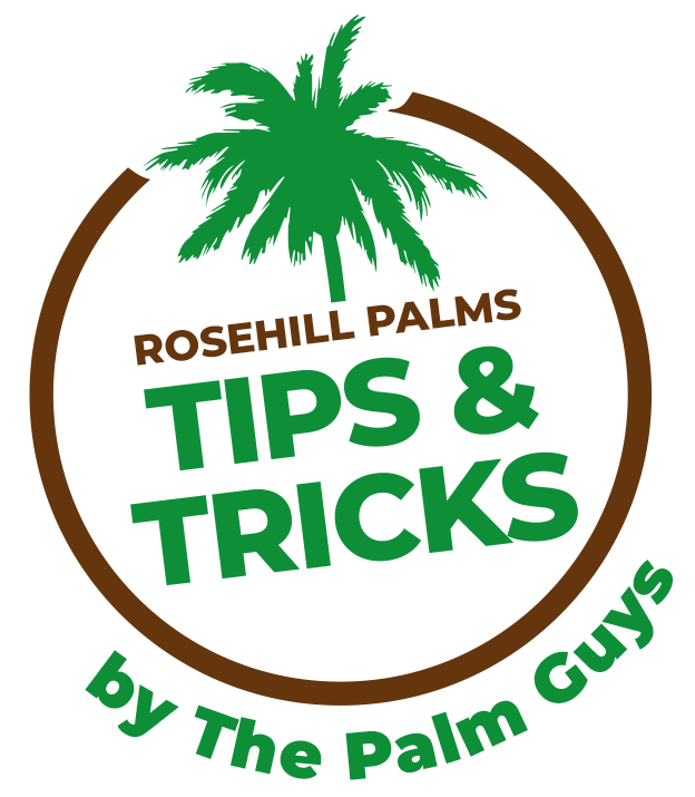 Rosehill Palms Tips and tricks logo