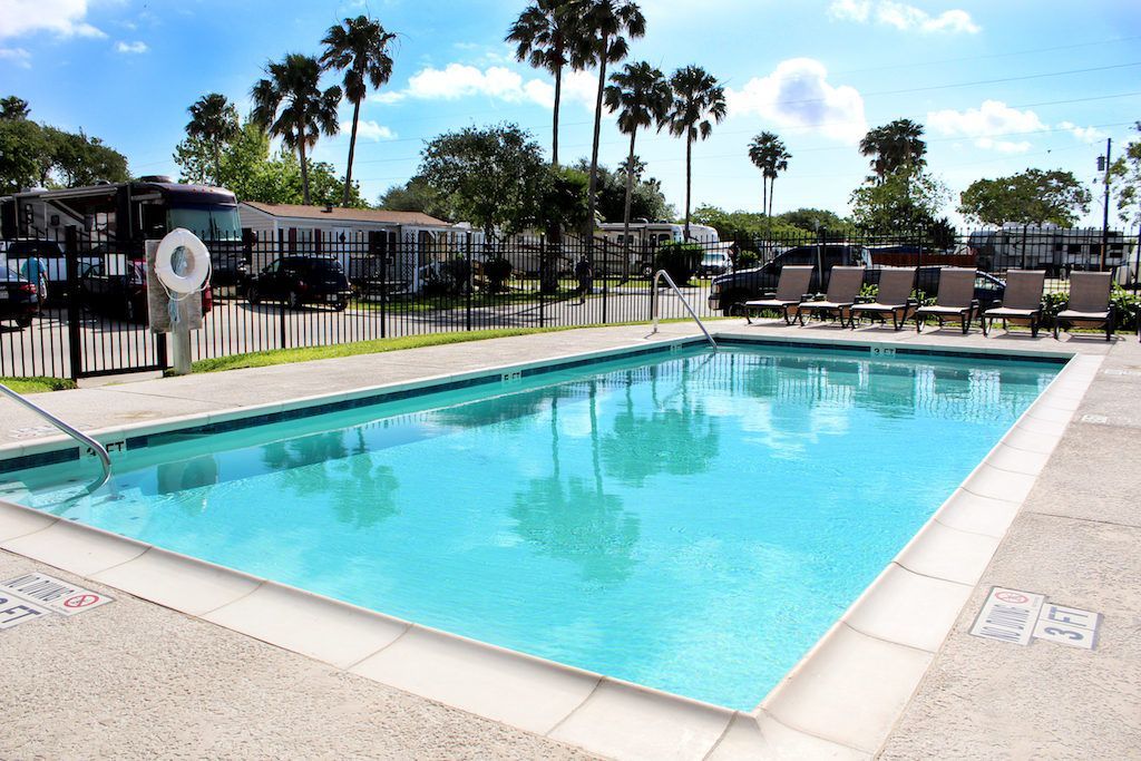 A large swimming pool with palm trees in the background