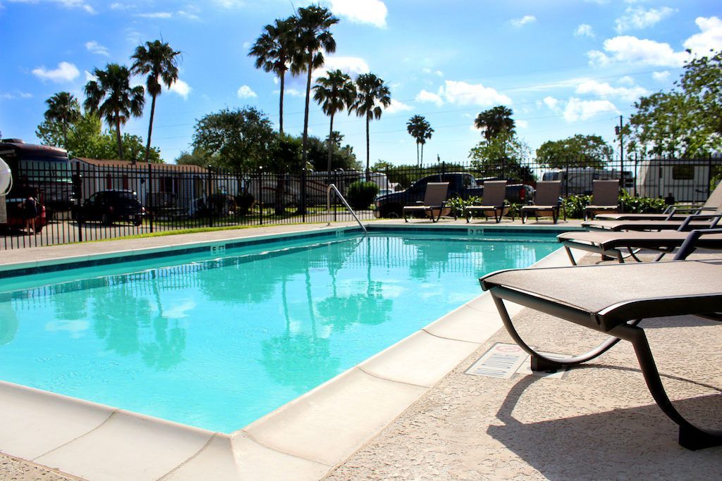 A large swimming pool with palm trees in the background