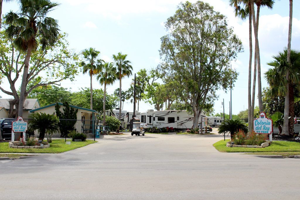 A rv park with a lot of trees and palm trees on the side of the road.