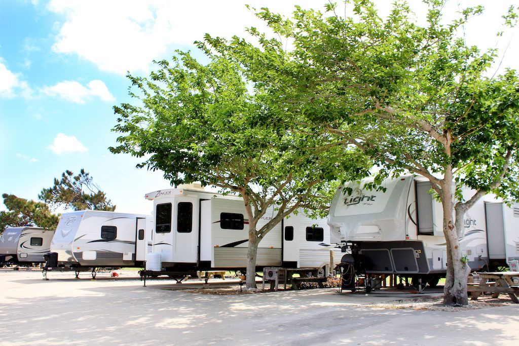 A row of rvs parked under trees in a parking lot.