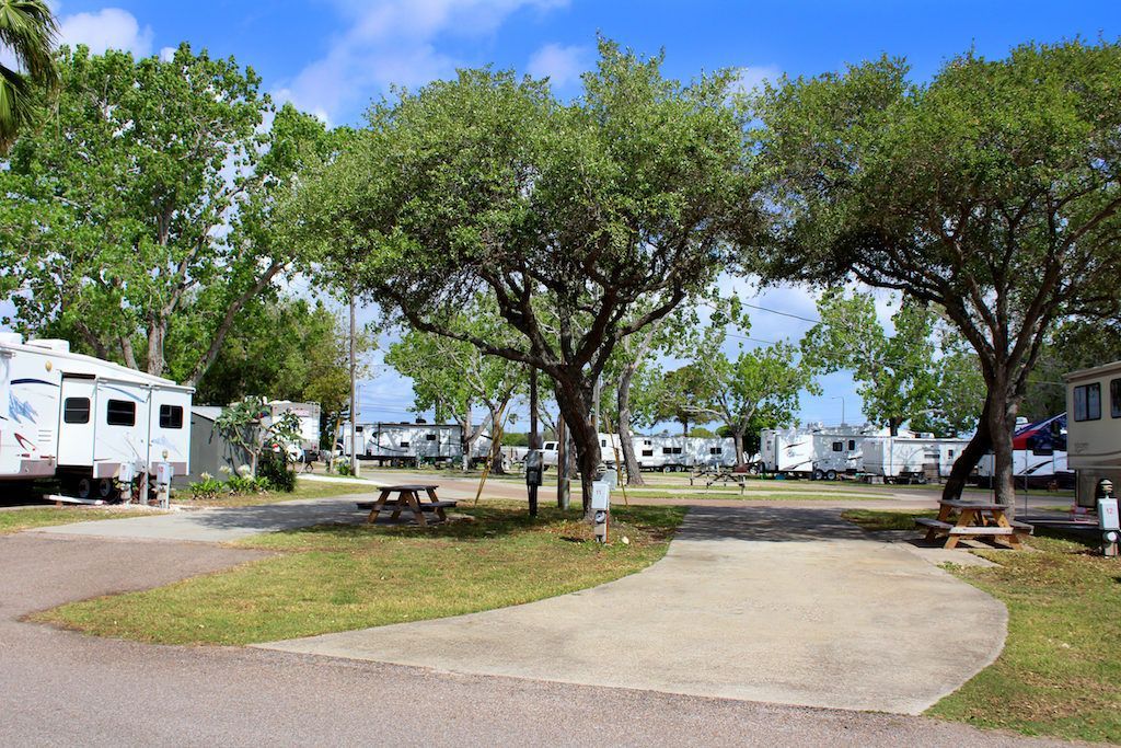 A park with a lot of trees and rvs parked in it