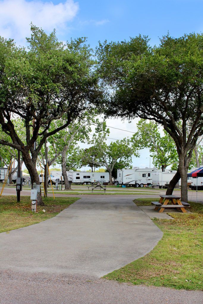 A path in a park with trees and a picnic table.