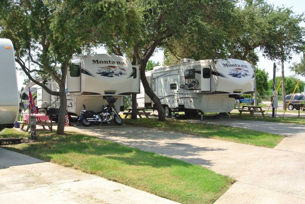 A row of rvs parked next to each other in a park.