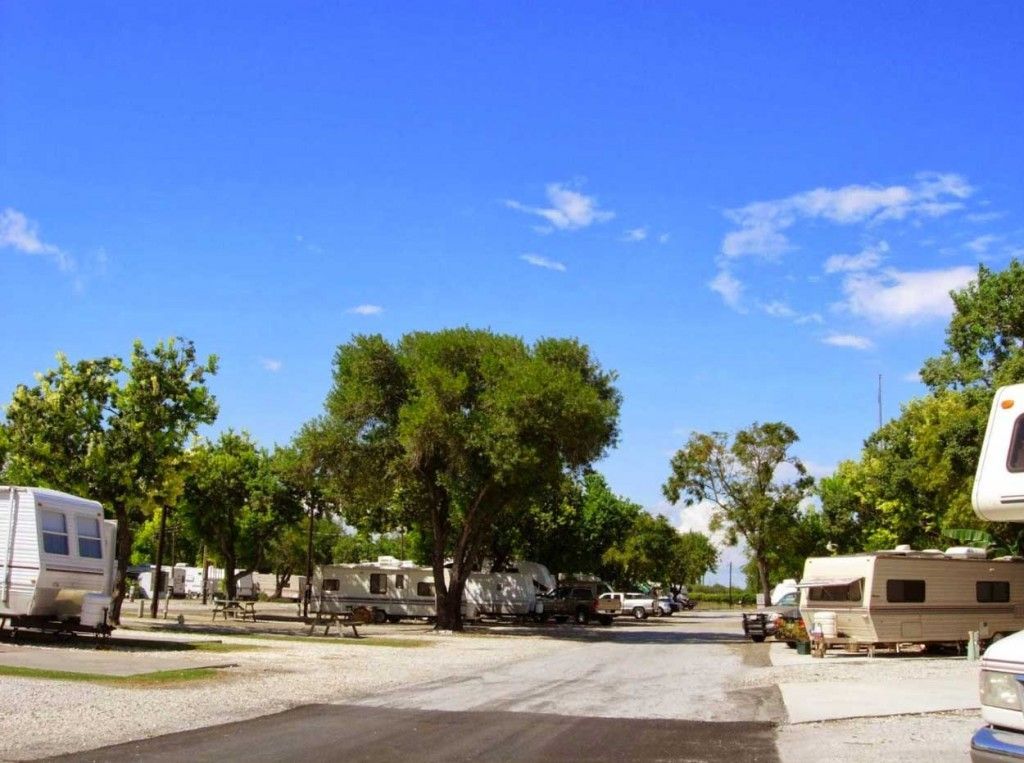 A row of rvs parked in a campground on a sunny day.