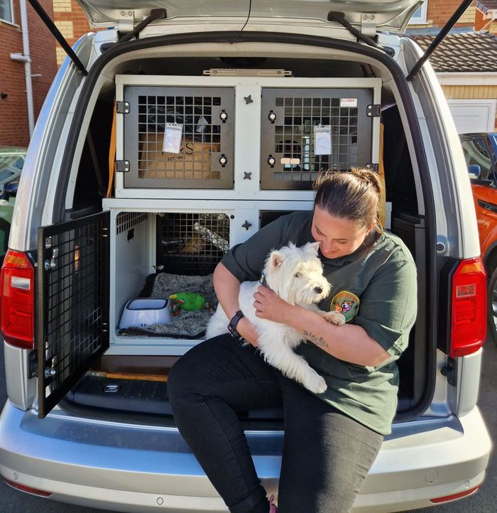 Friends on the road. European and UK Private Pet Transport.