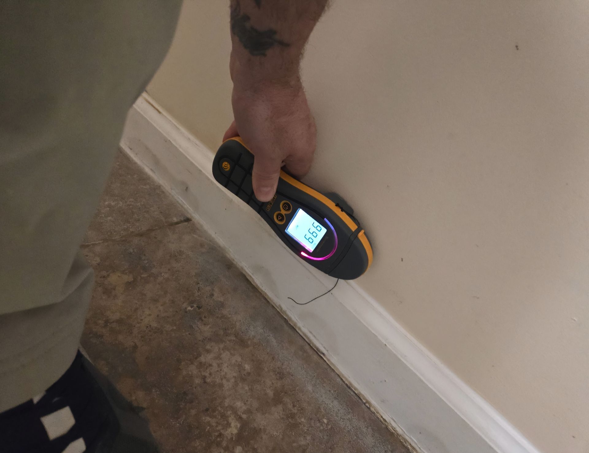 Person using a moisture meter on a wall near the floor.
