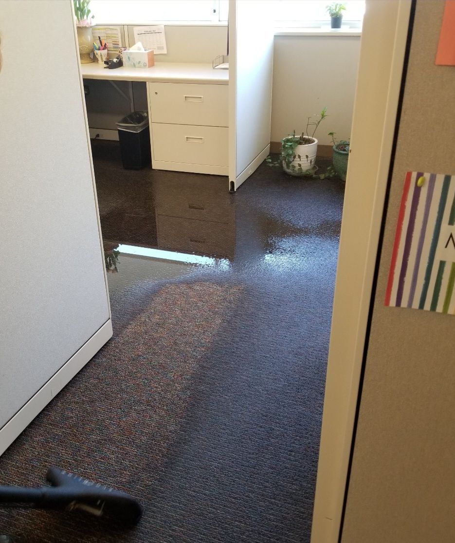 Office cubicle with flooded carpet and cabinets in background.
