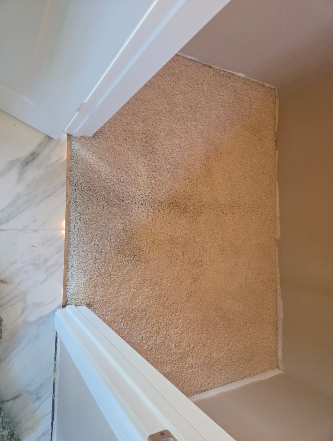 A beige carpeted section in a doorway, framed by white trim and adjacent tile and a tan wall.