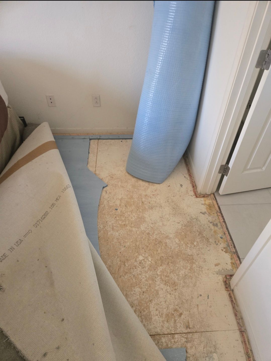 Carpet partially removed, revealing dirty subfloor; room corner.