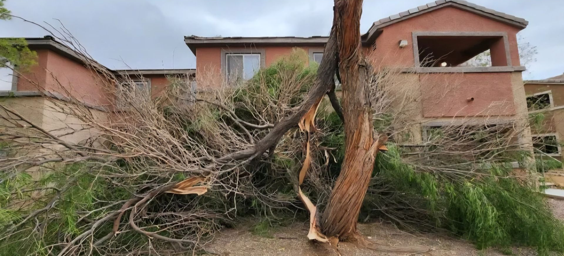 Room under construction, ladder propped, unfinished walls, window light.