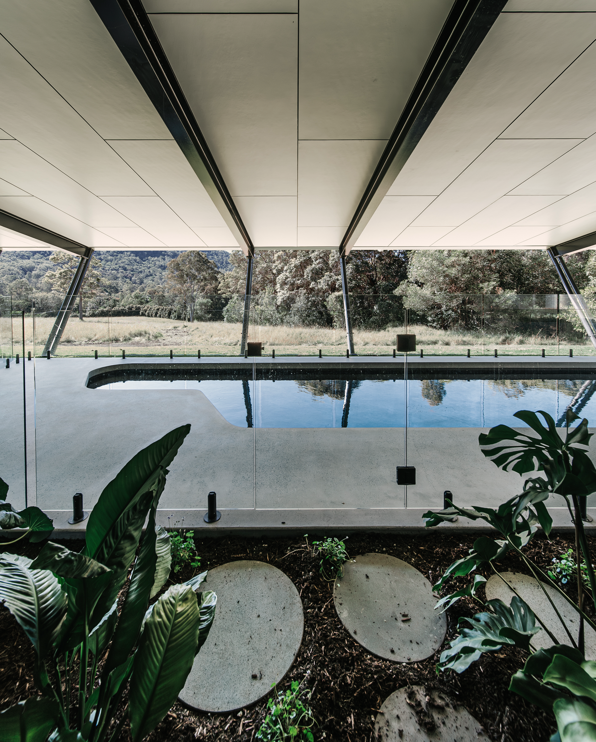 Pool Under a Covered Outdoor Space — ATH Projects in Eerwah Vale, QLD
