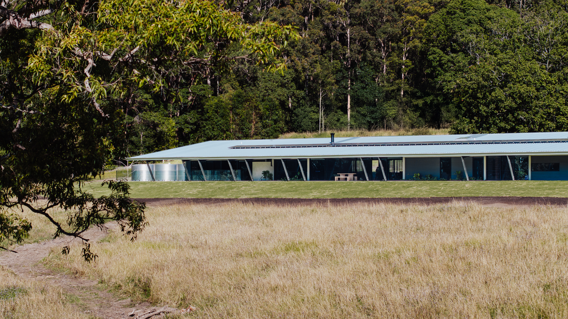 Long, Low Modern House With Green Roof and Large Windows — ATH Projects in Eerwah Vale, QLD