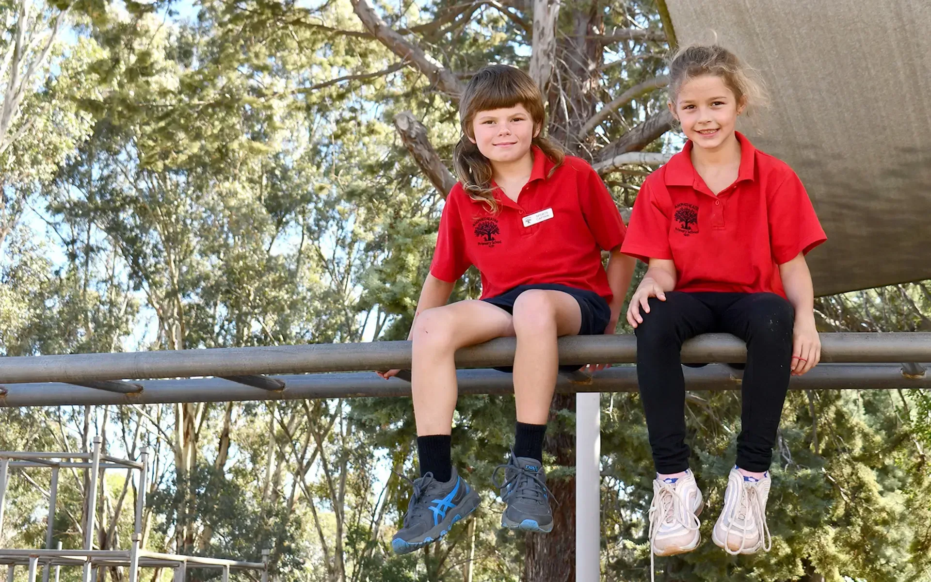 Amphitheatre Primary School Amphitheatre Primary School - Pyrenees Victoria - History