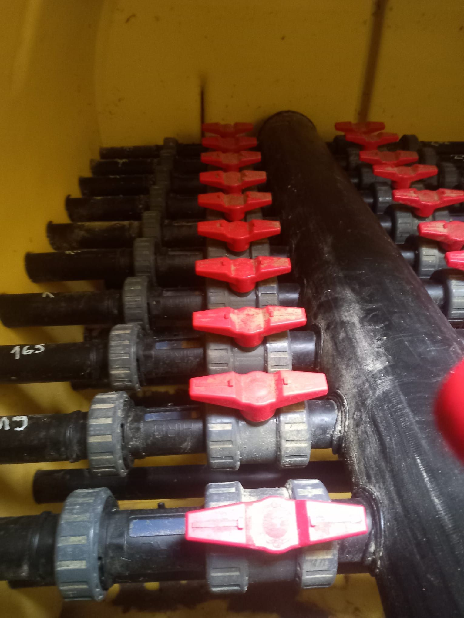 Eine Reihe schwarzer Rohre mit roten Kugelventilen, die in Reihen innerhalb eines gelben Behälters angeordnet sind.