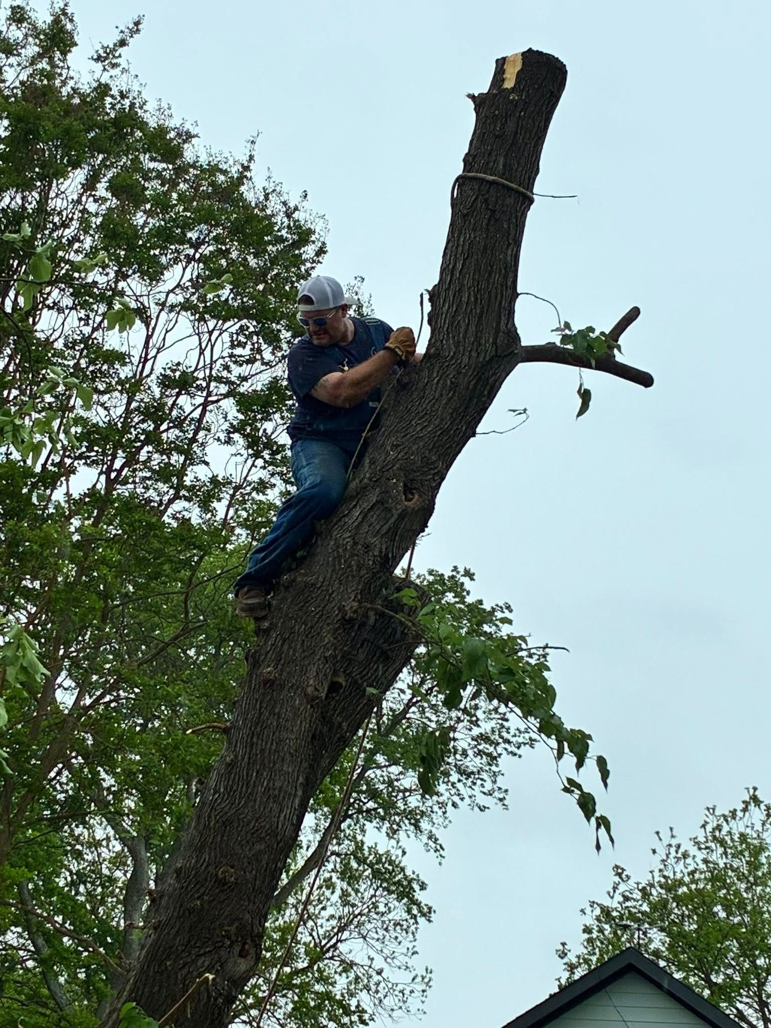 Man climbing a tall, cut tree trunk outdoors against a cloudy sky