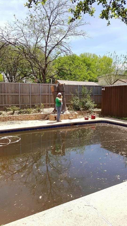 Person standing by a backyard pool with a wooden fence and trees in the background