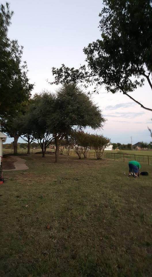 Grassy park at dusk with trees, a fence, and a blue chair near the right side