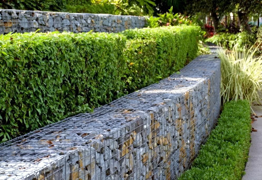 A Stone Wall With a Hedge Behind It in a Garden — Manning Valley Landscapes in Taree, NSW