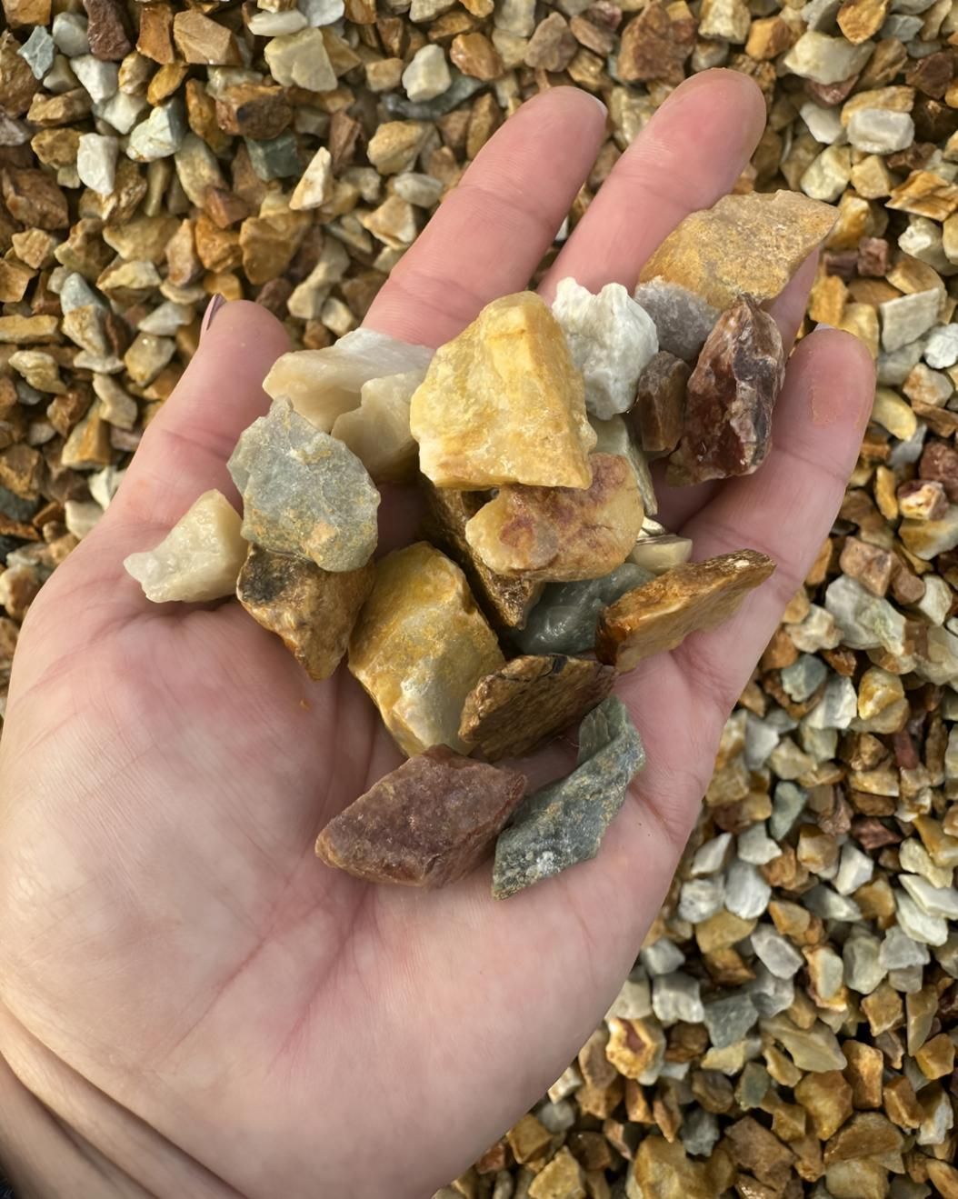 A Person is Holding a Pile of Rocks in Their Hand — Manning Valley Landscapes in Wingham, NSW