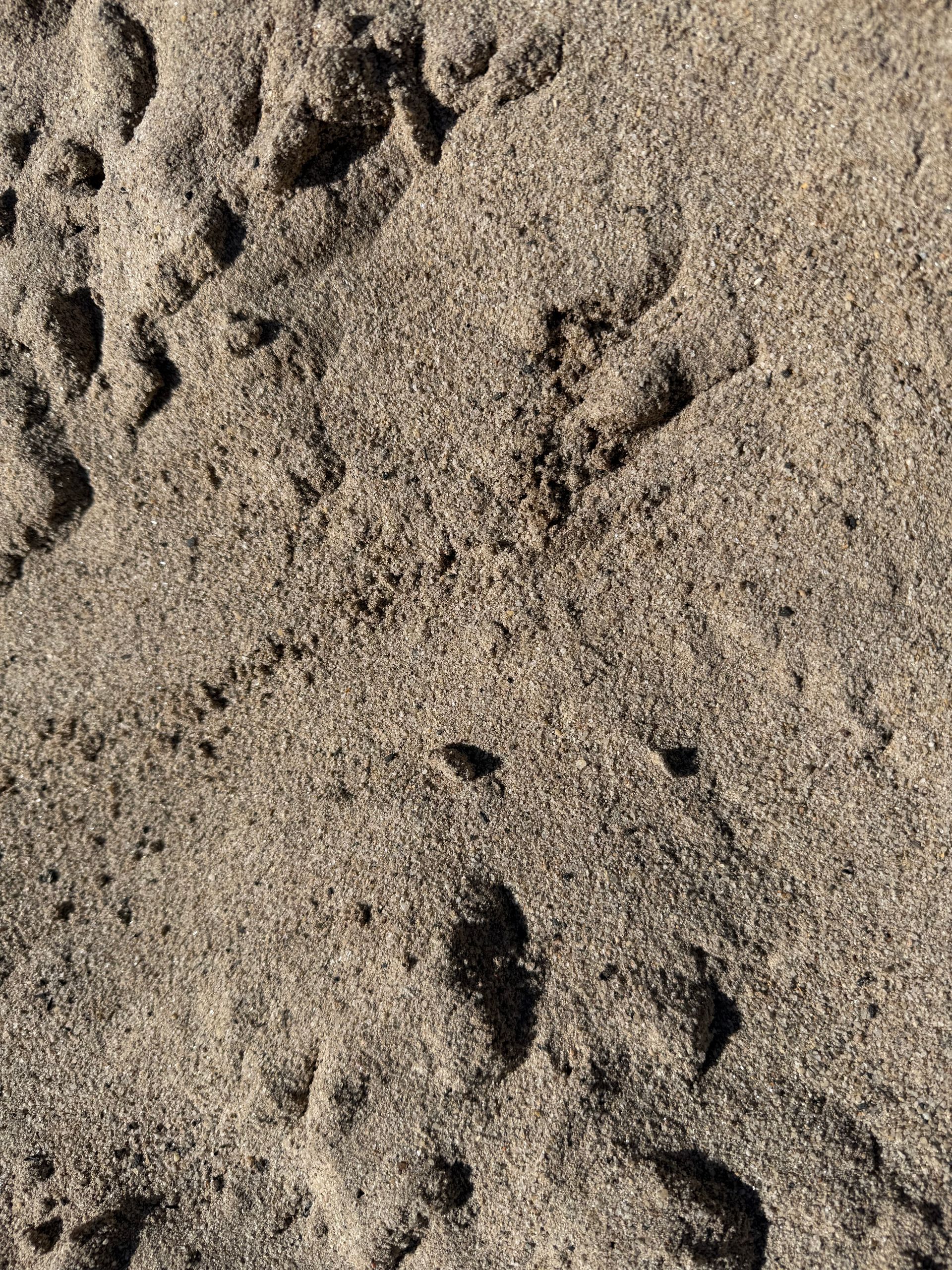 Sand with Footprints and Small Indentations — Manning Valley Landscapes In Wingham, NSW
