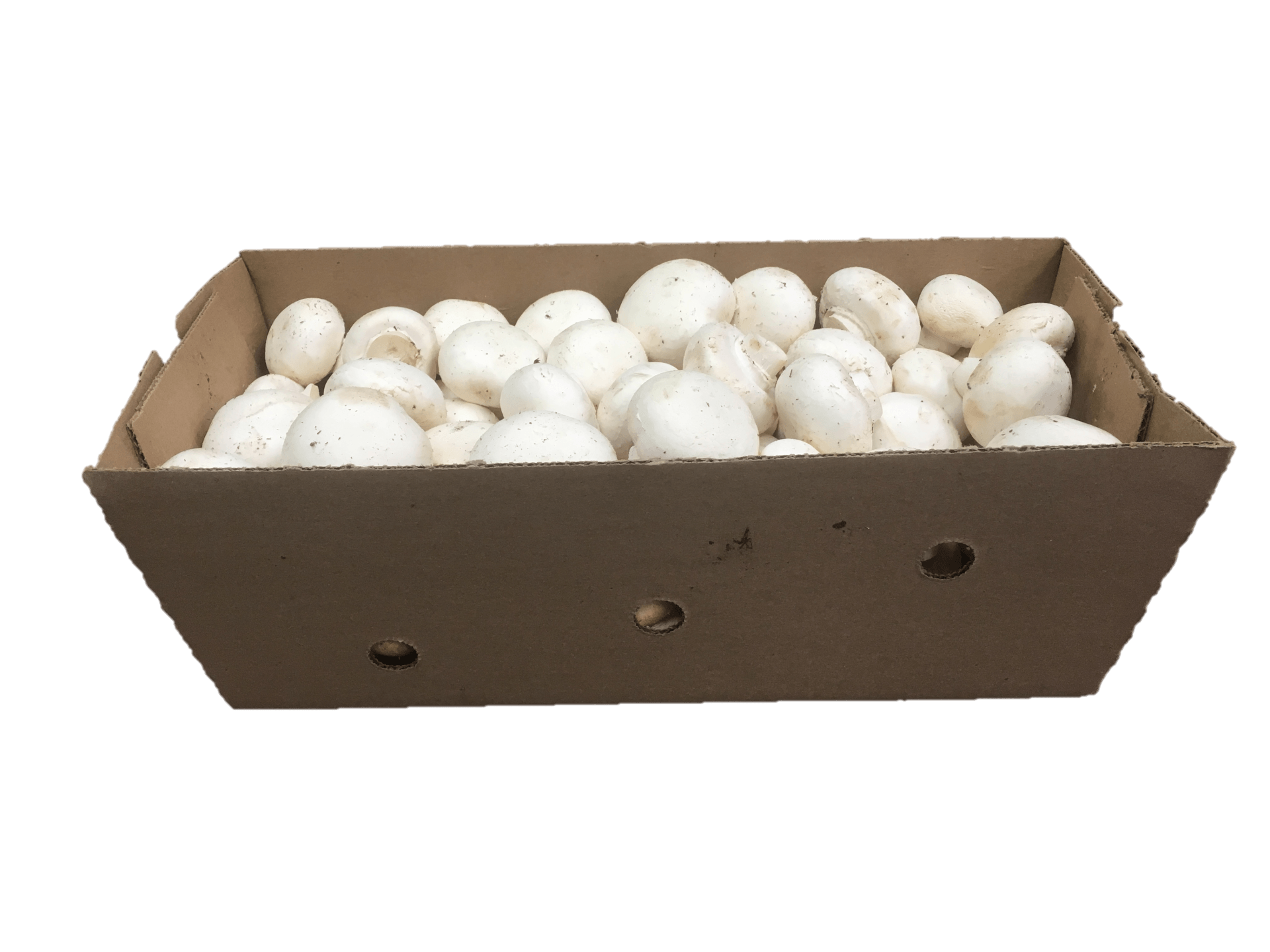 Mushroom Packaging 5lb box