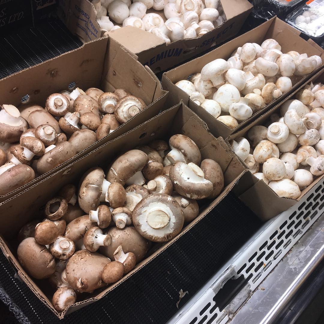 Mushroom Packaging