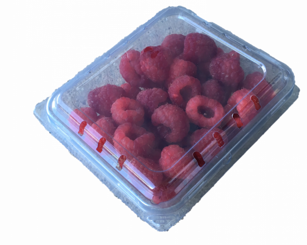 berry clamshell container