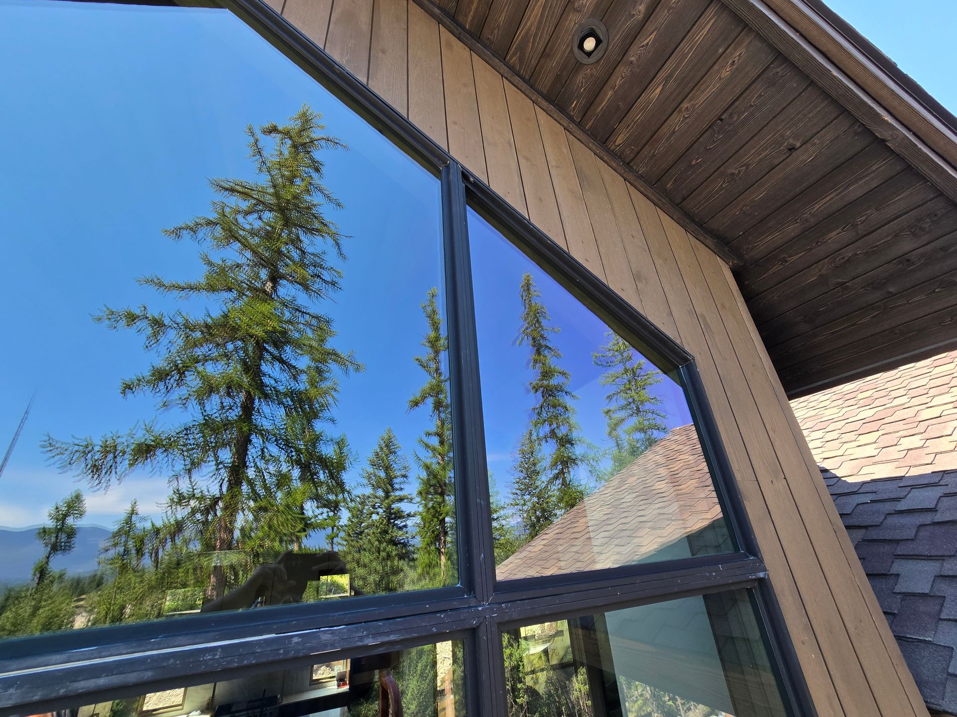 A large, dark-framed window reflects tall evergreen trees and a clear blue sky on a house with light tan siding.
