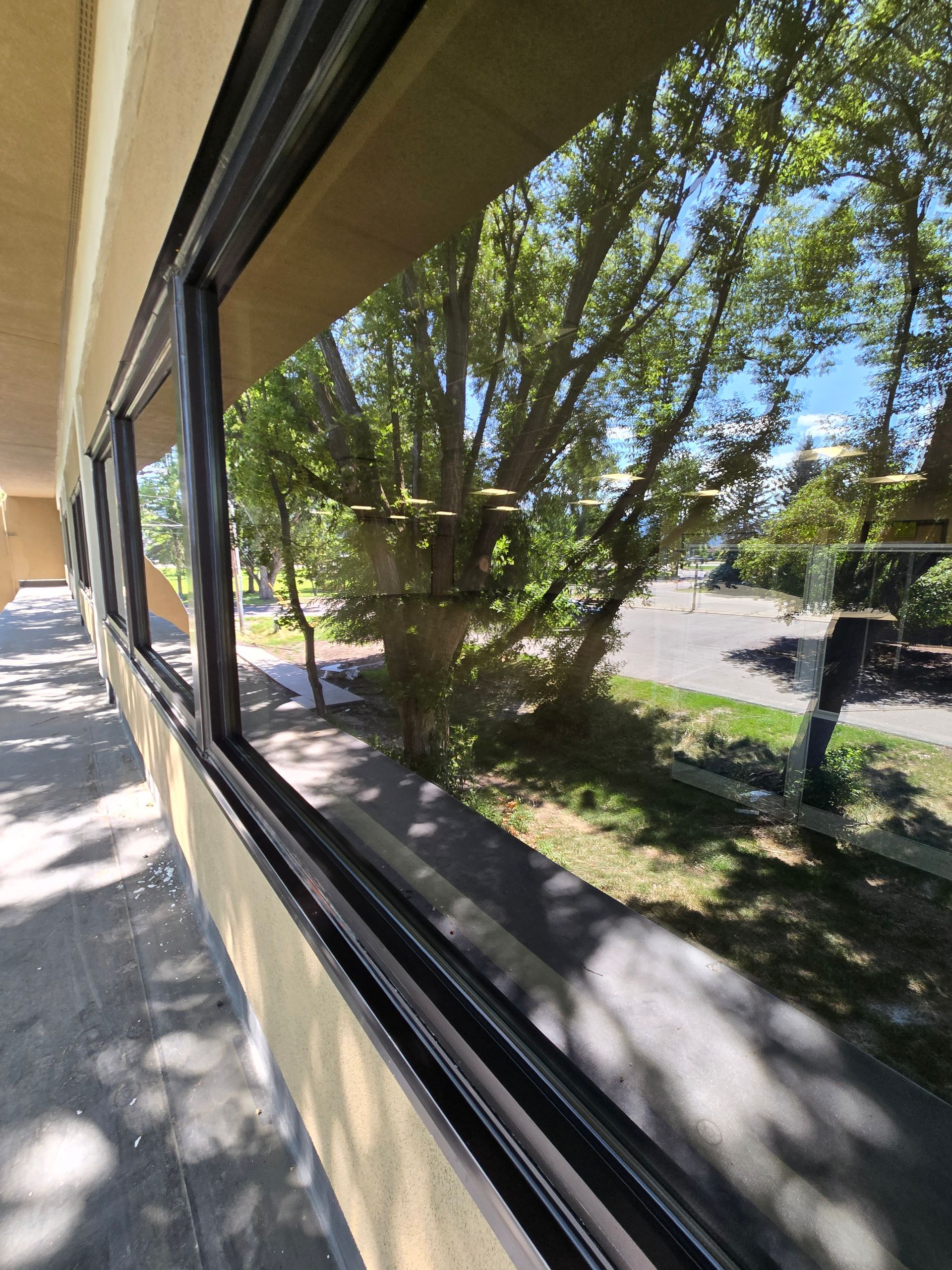 A bright, sunny view through a long row of dark-framed windows, overlooking a tree-lined walkway and paved path.