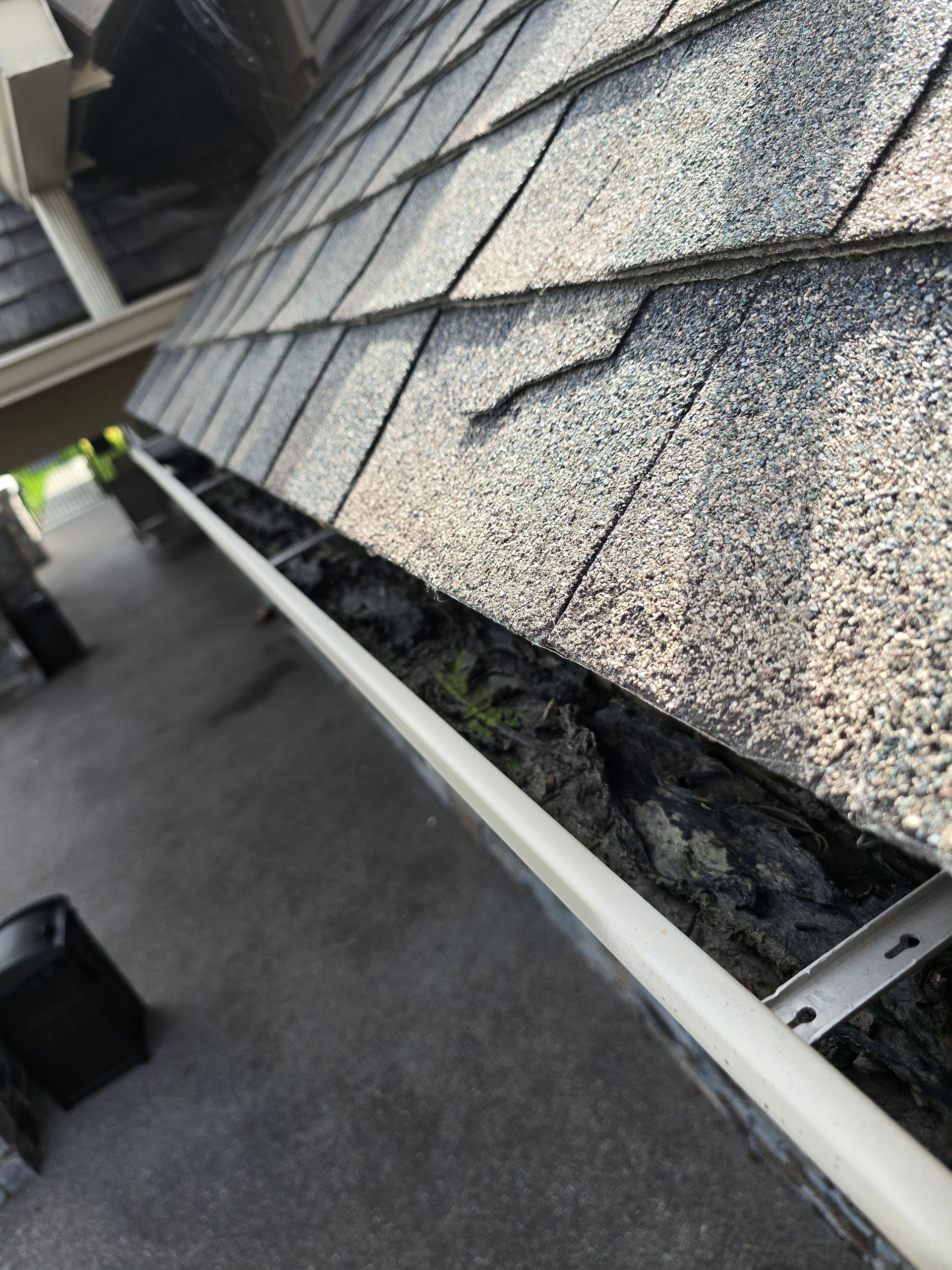 A roof gutter filled with dirt and debris, showing a small plant growing inside it alongside a damaged roof shingle.