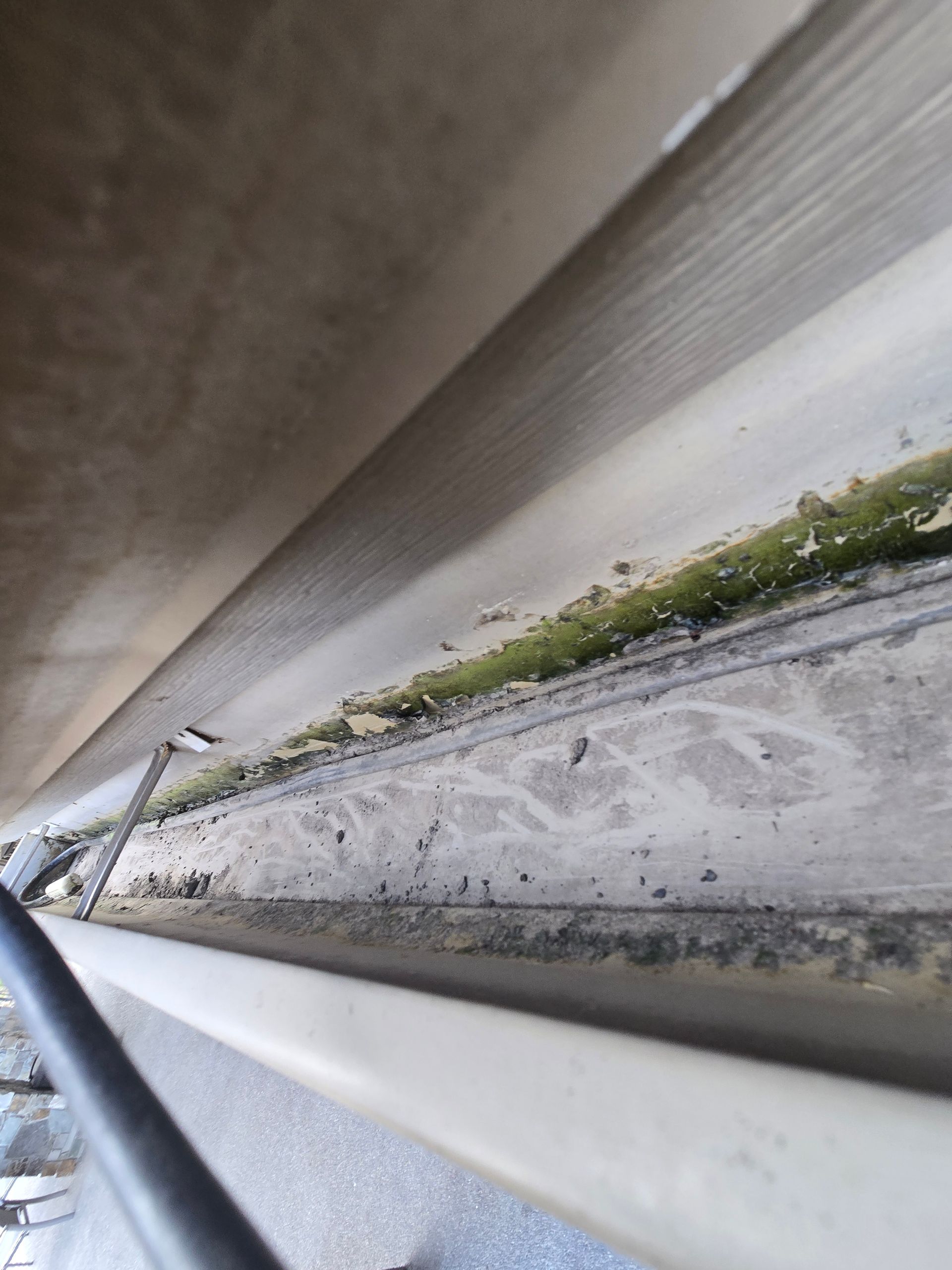 A close-up view looking down into a metal house gutter containing dirt and streaks of green algae buildup.