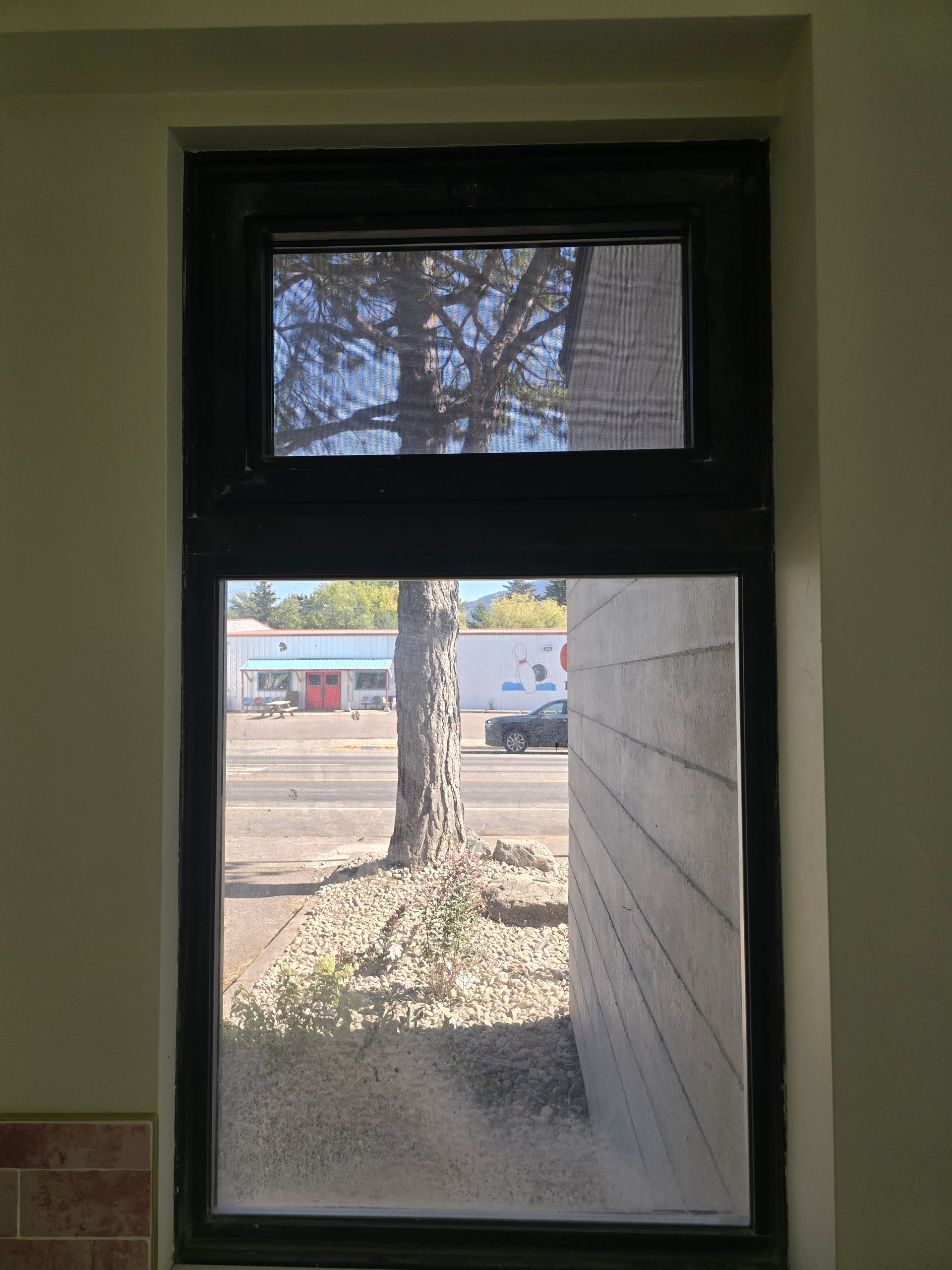 View through a window showing a tree, a gravel patch, a nearby concrete wall, and a street with buildings in the distance.