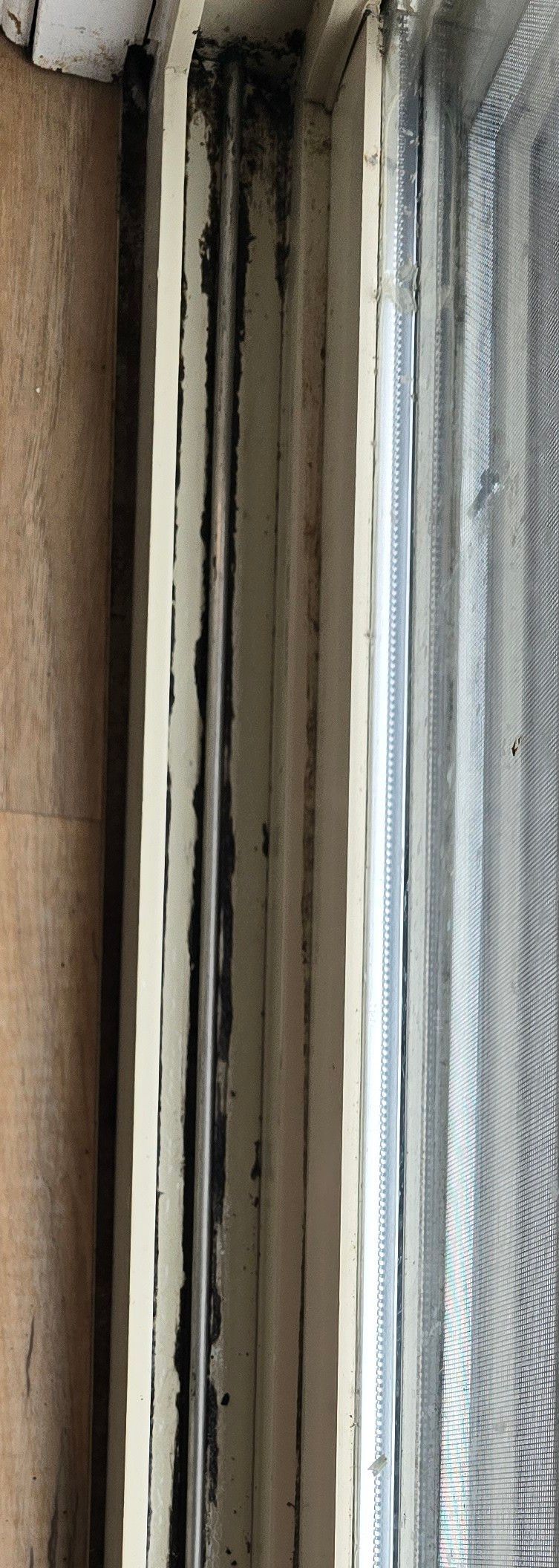 A vertical close-up of a window frame showing accumulated dust, grime, and mold buildup along the track and seals.