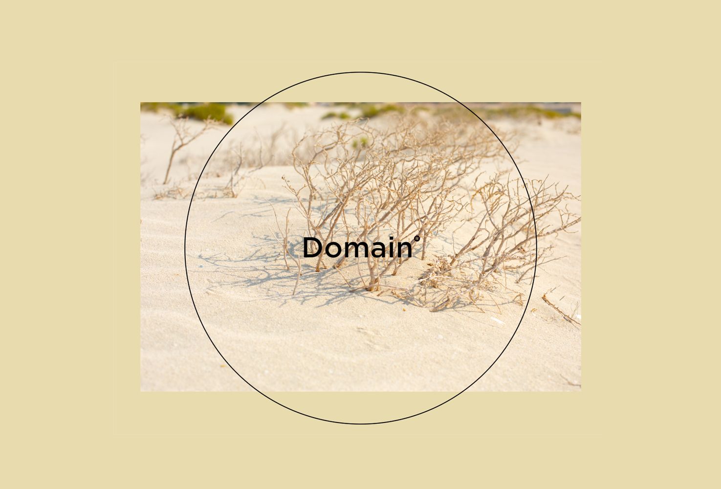 Domain