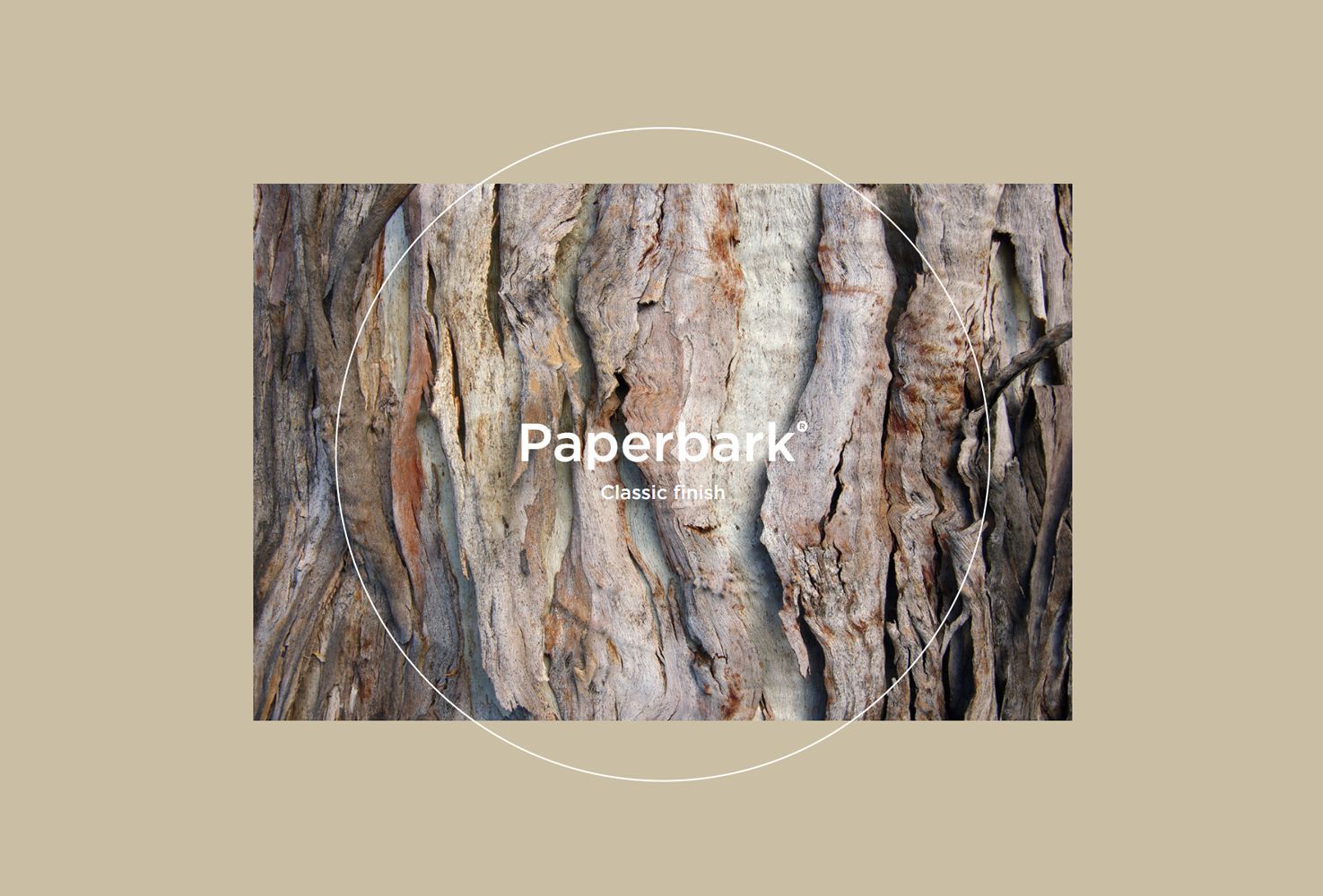 Paperbark