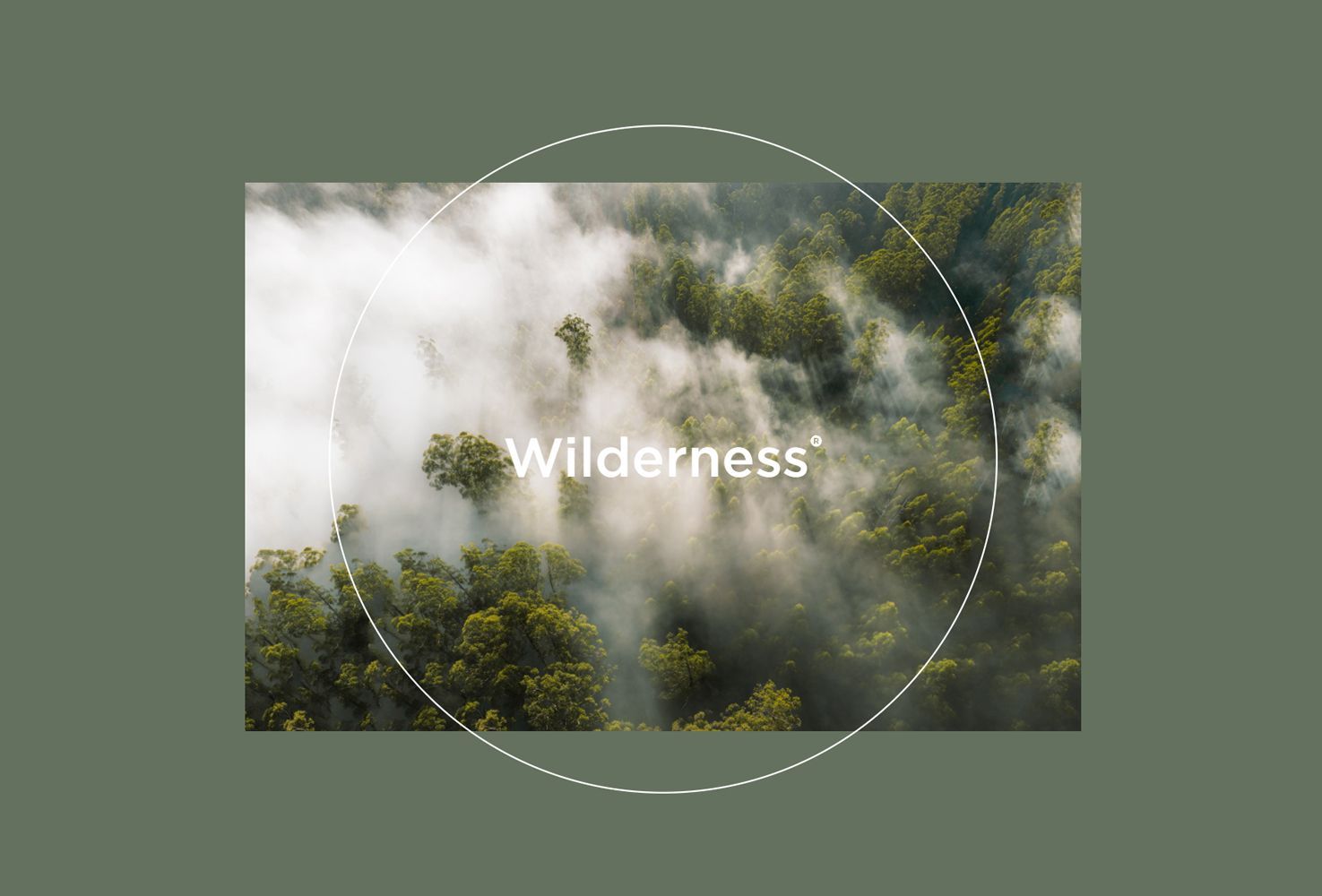 Wilderness