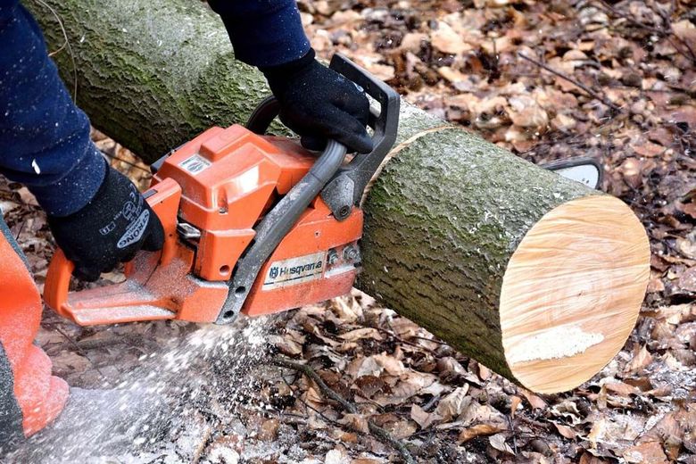 A person is cutting a log with a chainsaw.