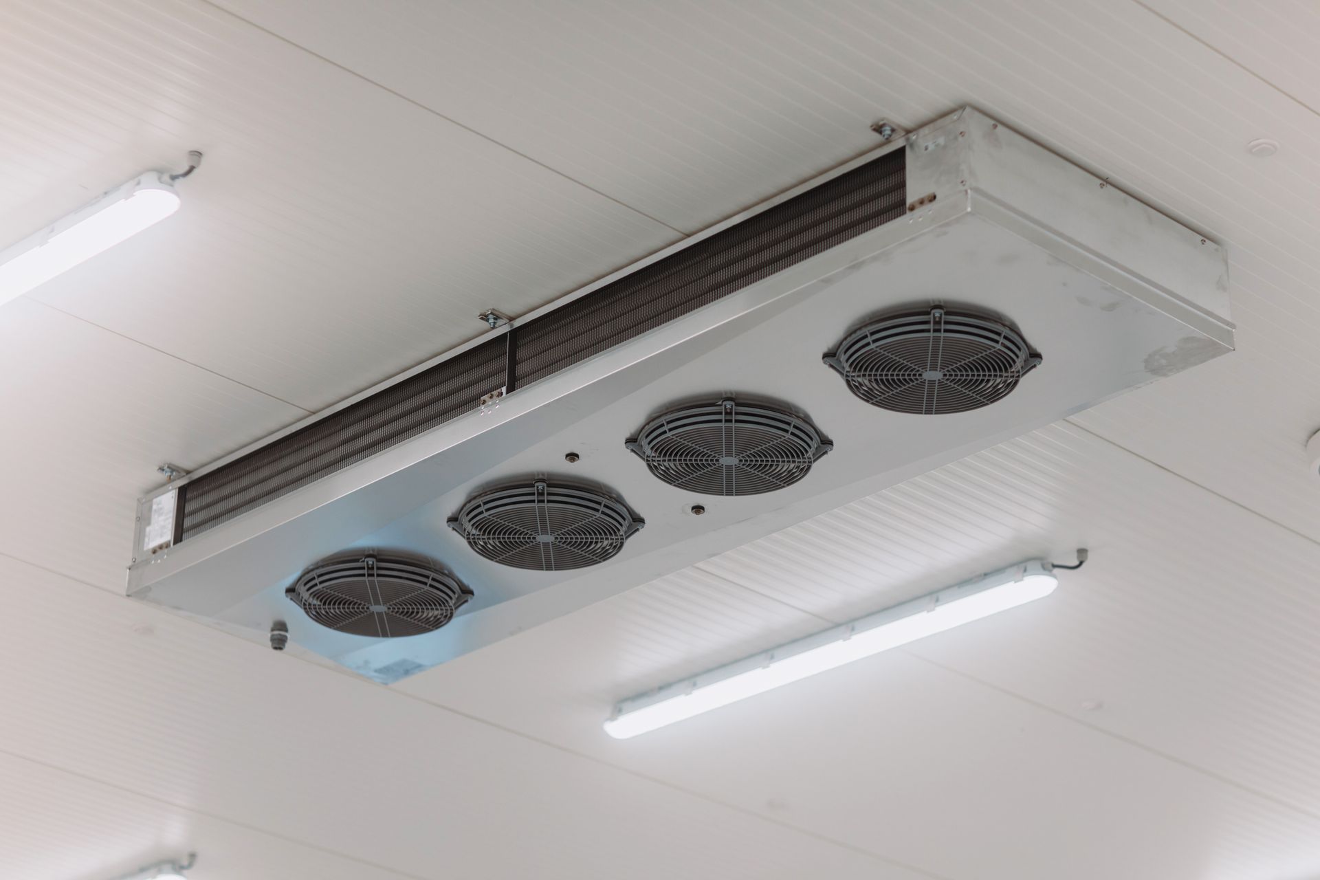 A Ceiling Fan is Hanging From the Ceiling of a Room — Hutchy's Refrigeration & Electrical in Northern Beach Cairns, QLD