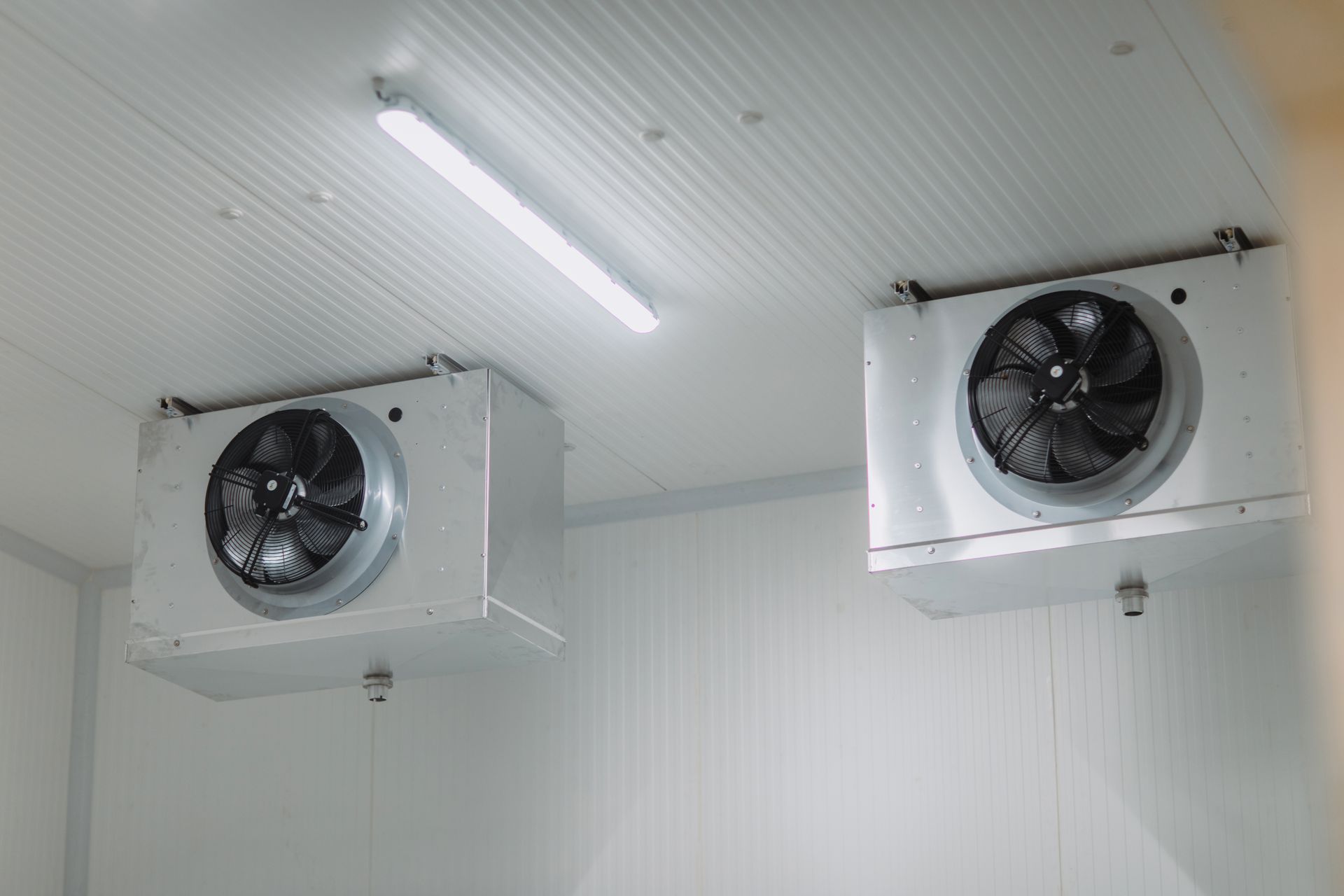 Two Fans Are Hanging From the Ceiling of a Room — Hutchy's Refrigeration & Electrical in Townsville, QLD
